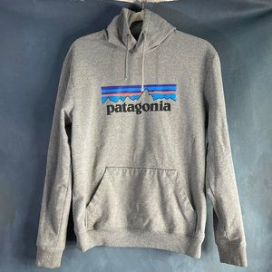 Patagonia hoodie